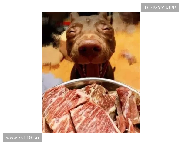 拉莫斯家的狗都吃有机牛排